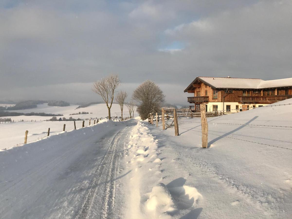 Chalet Bergliebe Brilon Exteriér fotografie
